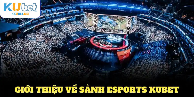 Giới thiệu về sảnh Esports KUBET với những thông tin giá trị nhất