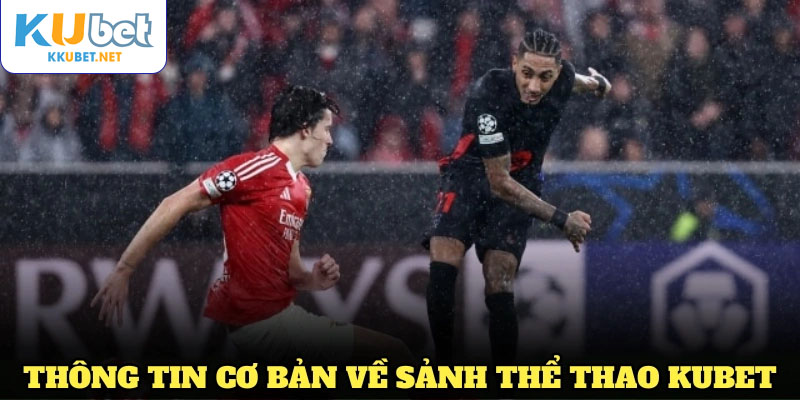 Tổng hợp những thông tin cơ bản cần biết về sảnh thể thao KUBET